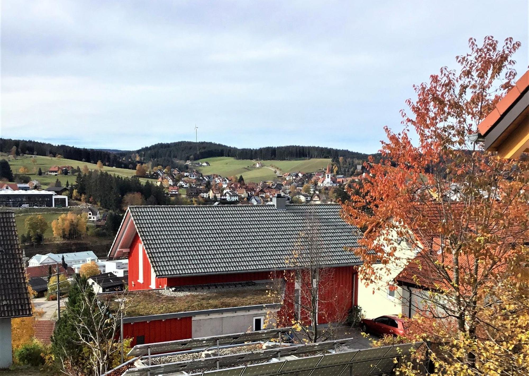 Schonach im SchwarzwaldAlexander Feiss公寓 外观 照片